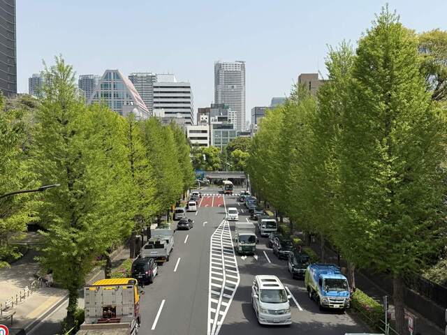 都心の並木道を走る車の風景